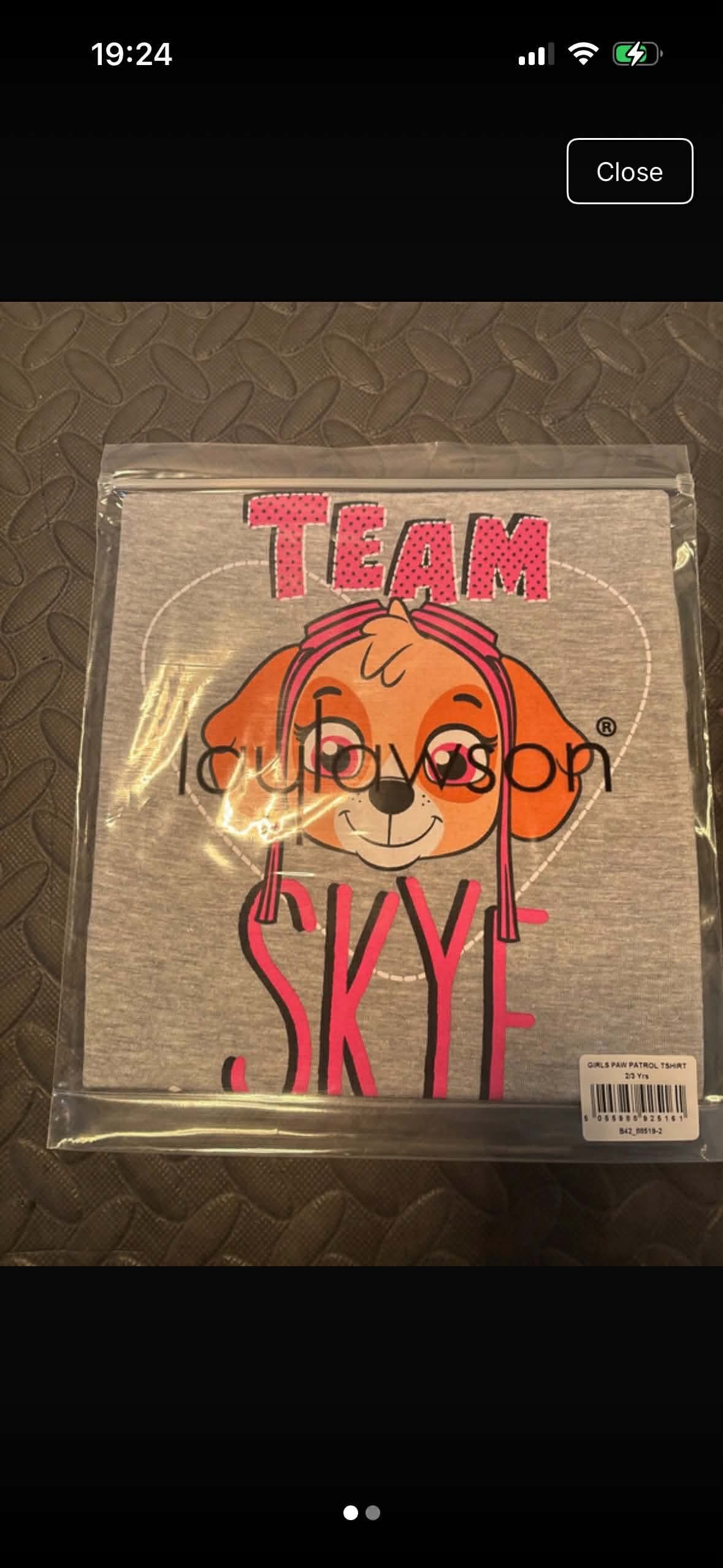 Skye paw patrol t shirt